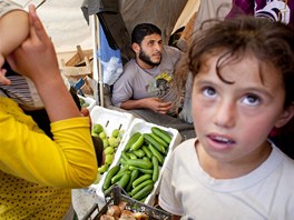 Vldn specil pivezl do jordnskho Ammnu humanitrn pomoc urenou syrskm...