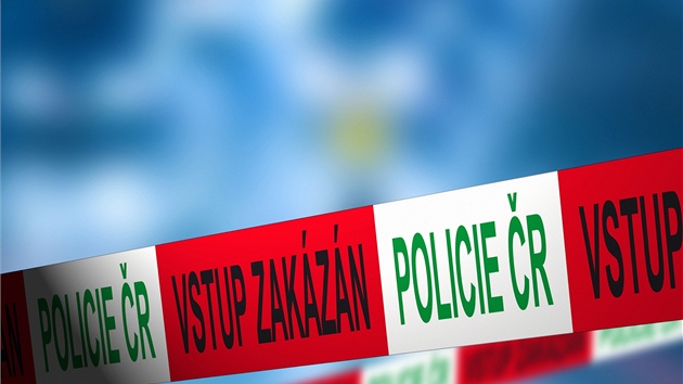 Policie (ilustra�ní foto)