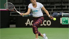 SOUSTEDNÍ. Lucie Hradecká na tréninku ped fedcupovým finále.