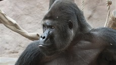 Richard pe�liv� dohlí�í na to, aby byl v pavilonu po�ádek.