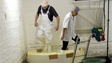 Výroba k�imického zelí v zelárn� Jaroslava Lobkowicze. 
