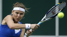 eská tenistka Lucie afáová míí za rozhodujícím bodem ve finále Fed Cupu...