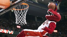 Maskot basketbalového Toronta Raptors baví diváky bhem zápasu s Minnesotou