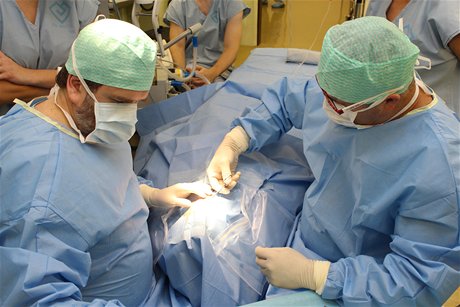 Do biní aorty a do tepen na nohou lékai pacientovi umístili cévní protézy. (ilustraní snímek)