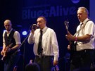 Blues Alive 2012 (The Kingsize Boogiemen)