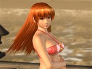 Kasumi, jedna z hrdinek bojové hry Dead or Alive 