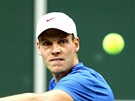 ZABIJÁCKÝ VÝRAZ. eský tenista Tomá Berdych ve finále Davis Cupu.