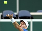 NA PODÁNÍ. eský tenista Tomá Berdych ve finále Davis Cupu.