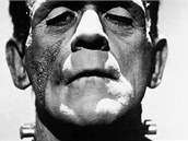 Novodobou podobu vtiskl Frankensteinovi Boris Karloff.