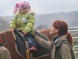 Cviitelka Zuzana Sikorov na hipoterapii s Srou (2.roky) a konm Vakem v