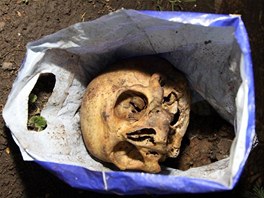 V ervnu byly v centru Chocn nalezeny v igelitov tace dv lidsk lebky.