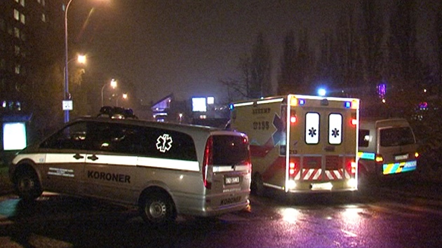 Policie a zchranka u domu ve Stodlkch, kde 22let mladk zavradil ddu a pobodal jeho druku.