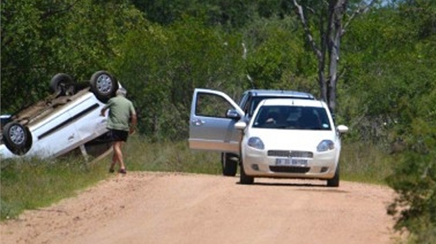 Rozzuen slon se v Krugerov parku vrhl na projdjc auto s britskmi turisty a pevrtil je.
