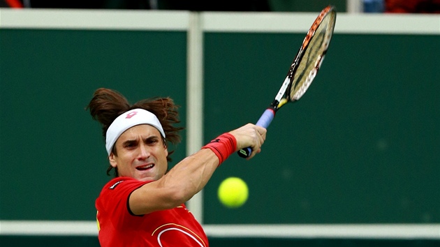 SNAHA. David Ferrer ve finle Davis Cupu.  