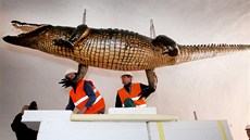 Opravy se týkaly nejen radnice. Rekonstrukcí proel i Brnnský drak, který je jedním ze symbol msta.