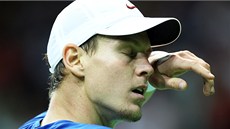 ESKÁ JEDNIKA NESTAILA. David Ferrer byl v utkání s Tomáem Berdychem jasn