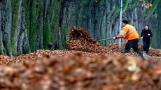 Ilustra�ní snímek.