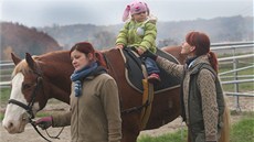 Cviitelka Zuzana Sikorová na hipoterapii s Sárou (2.roky) a konm Vakem v