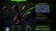 StarCraft: Heart o the Swarm