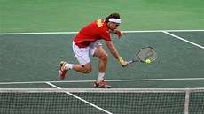 DO ÚTOKU. David Ferrer se v daviscupovém souboji s eskými tenisty ene k síti 