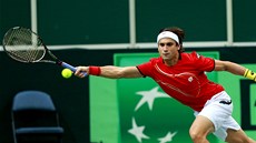 DLOUHÁ RUKA. David Ferrer ve finále Davis Cupu.  