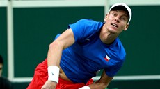 PO SERVISU. Tomá Berdych ve finále Davis Cupu.  