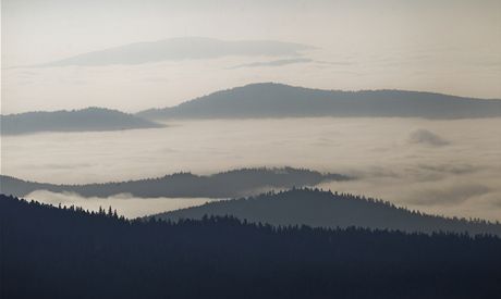 Tem umavským mstm se nelíbí, e nesmjí zasahovat v mstských lesích, které jsou na území národního parku. (ilustraní snímek)