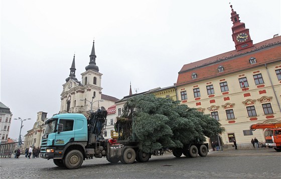 Strom 15 minut po desáté hodin pijídí ped jihlavskou radnici. 