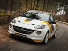 Opel Adam FIA R2