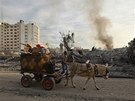 Palestinec se svým vozíkem projídí kolem trosek budov zniených pi izraelském