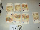 Pi zátahu v trnici na Moldav policisté zajistili také 32 tisíc eur a 483