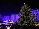 V centru Olomouce se v podveer rozsvítil vánoní strom. Slavnostní zahájení...