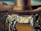 Salvador Dalí: Dormeuse, cheval, lion invisibles (1930)   