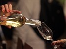 Den otev�ených sklep�, exkurze a ochutnávky vina�� v jihomoravském Pavlov�.