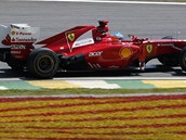 Fernando Alonso v prvnm trninku na Velkou cenu Brazlie.