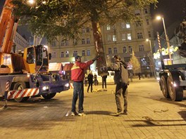 Zatím má vánoní strom, který si Brané tradin vybírají v anket ze tí