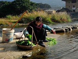 Vesnianka myje zeleninu na behu eky v ínské provincii Nan-ing. Práv v