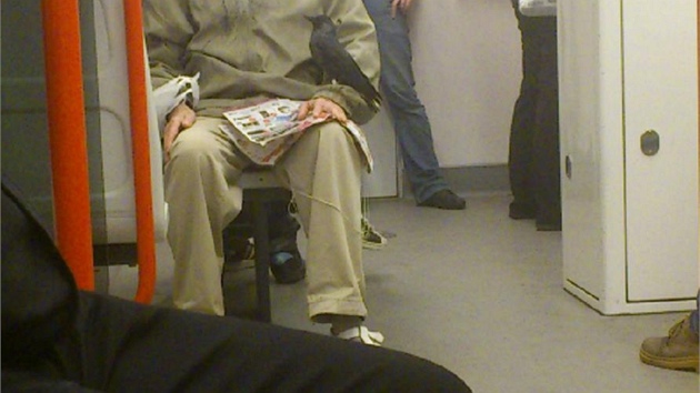 Mu s kavkou v metru na Mstku.