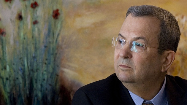 Izraelský ministr obrany Ehud Barak na snímku z loského roku (17. ledna 2011)