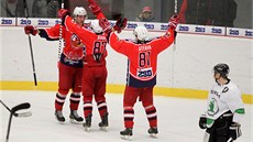 Hokejisté Havlíkova Brodu slaví gól v utkání s Mladou Boleslaví.