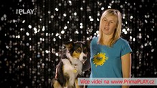 �S má talent 2