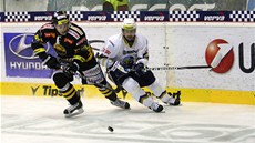 Jakub �erný v dresu Litvínova v roce 2012.