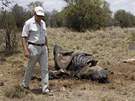 Zabitý nosorožec u jezerea Finfoot v Jihoafrické republice (22. listopadu 2012)