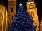 Vánoní strom na Velkém námstí v Hradci Králové