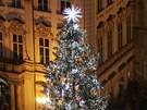 Vánoní strom v Praze na Staromstském námstí