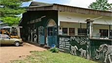 Limbe Wildlife Center, jedna ze záchranných stanic pro gorily i dalí primáty,...