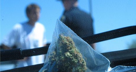 Uvnit vozu policisté nali pytlíky s marihuanou a haiem. Ilustraní snímek