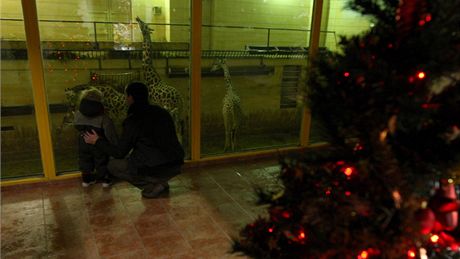 Olomoucká zoo nabízí monost netradiní návtvy na veerních komentovaných