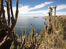 Klidná hladina jezera Titicaca