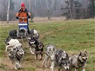 Jana Lovette Henychov� provozuje v Horn�m Maxov� musherskou �kolu Husky.